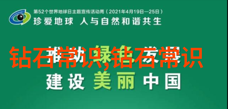 贾政命宝钗扶树红楼梦中的温情与责任