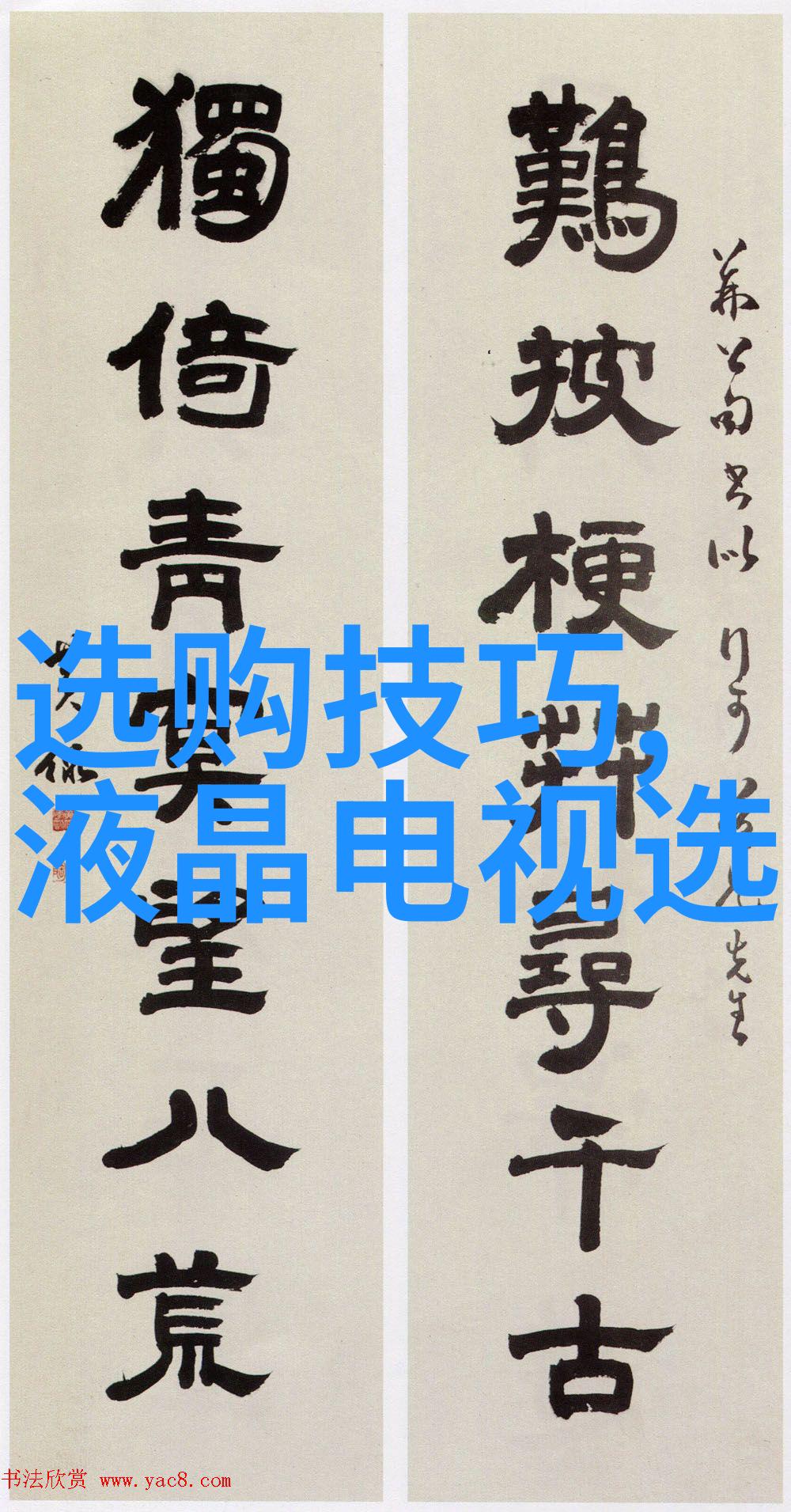 翡翠品种选择色泽纯净光泽饱满无裂纹