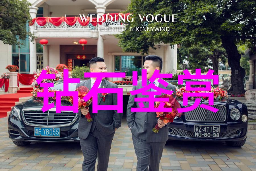 品味之差品鉴与鉴赏的艺术对话