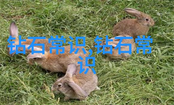 工艺美术织梦与刃锋的交响