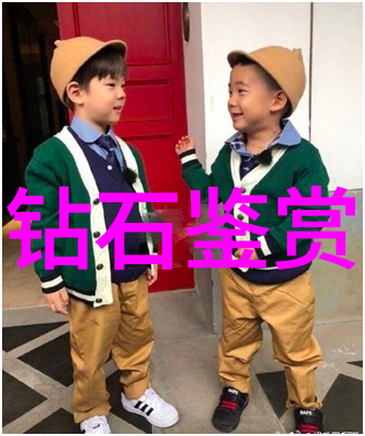 璀璨夺目的宝石光探索珠宝中闪耀的色彩与传奇