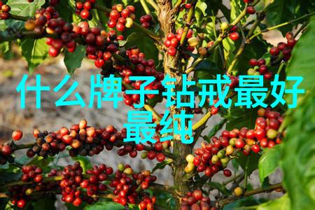世界十大蓝钻展览会精彩回顾见证历史瞬间的珍品展示