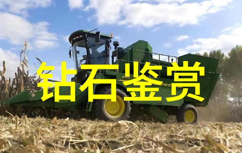 办公室工艺员的角色与职责探索工艺员在现代办公环境中的具体工作内容和价值