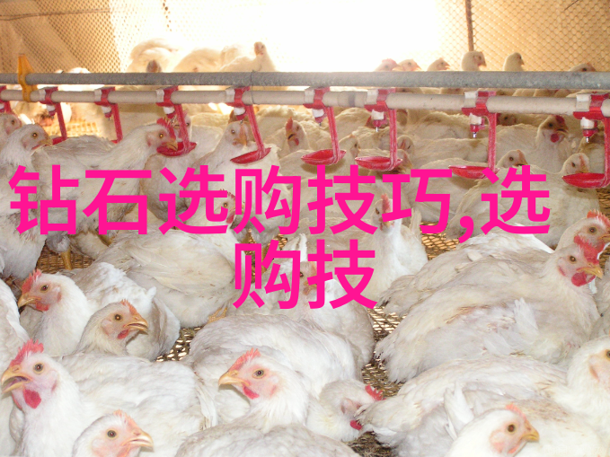 怎样将传统技艺与现代设计巧妙融合创造出独具民族特色的手工艺品
