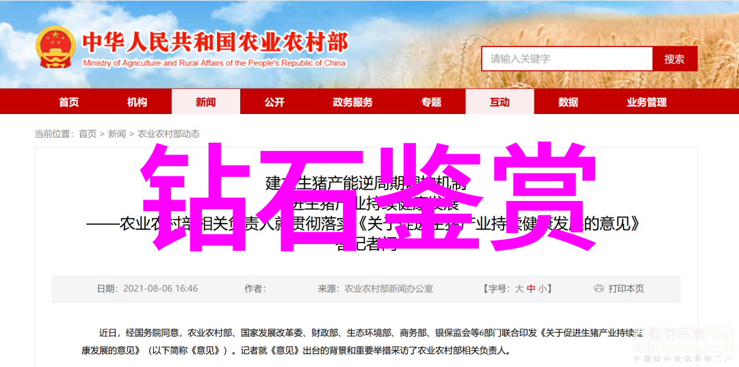云端上的幻想家子弟团伙追寻梦想背后的真相与挑战