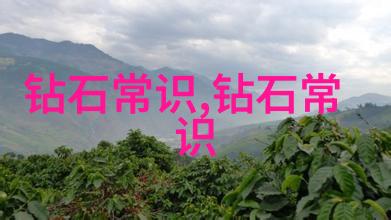 小红帽的故事我和小红帽的奇妙冒险