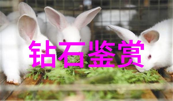 编织艺术布贴画的色彩与故事