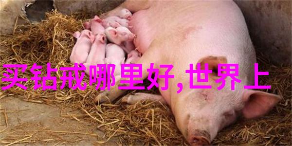 探秘中国三大钻石产地从安德森钻石矿场到宁夏金口江