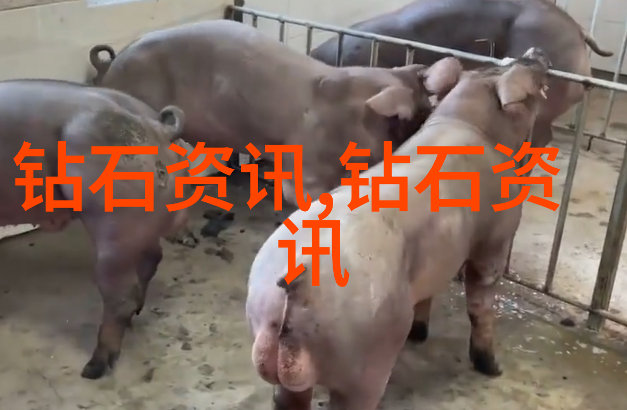 玉石鉴定宝藏在手免费解锁价值
