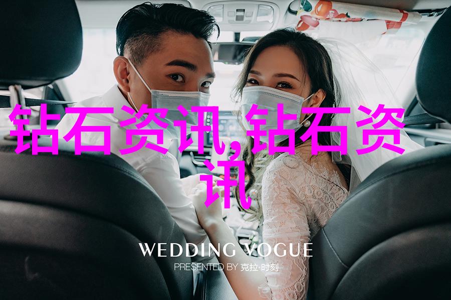 宠物美容师的艺术与责任