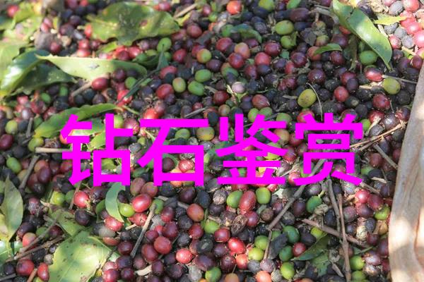 审计过程中的合规性审核及其最佳实践指南