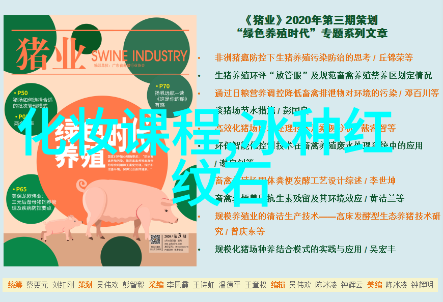 追逐梦动学动画的奇妙旅程