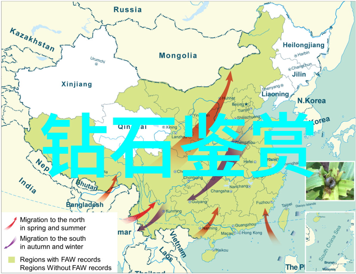 品鉴和鉴赏的区别咱们来聊聊这两者到底是怎么回事