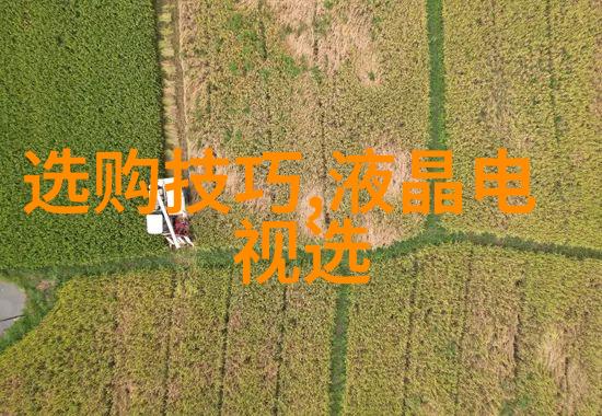 揭秘珠宝圈十大璀璨之冠有哪些
