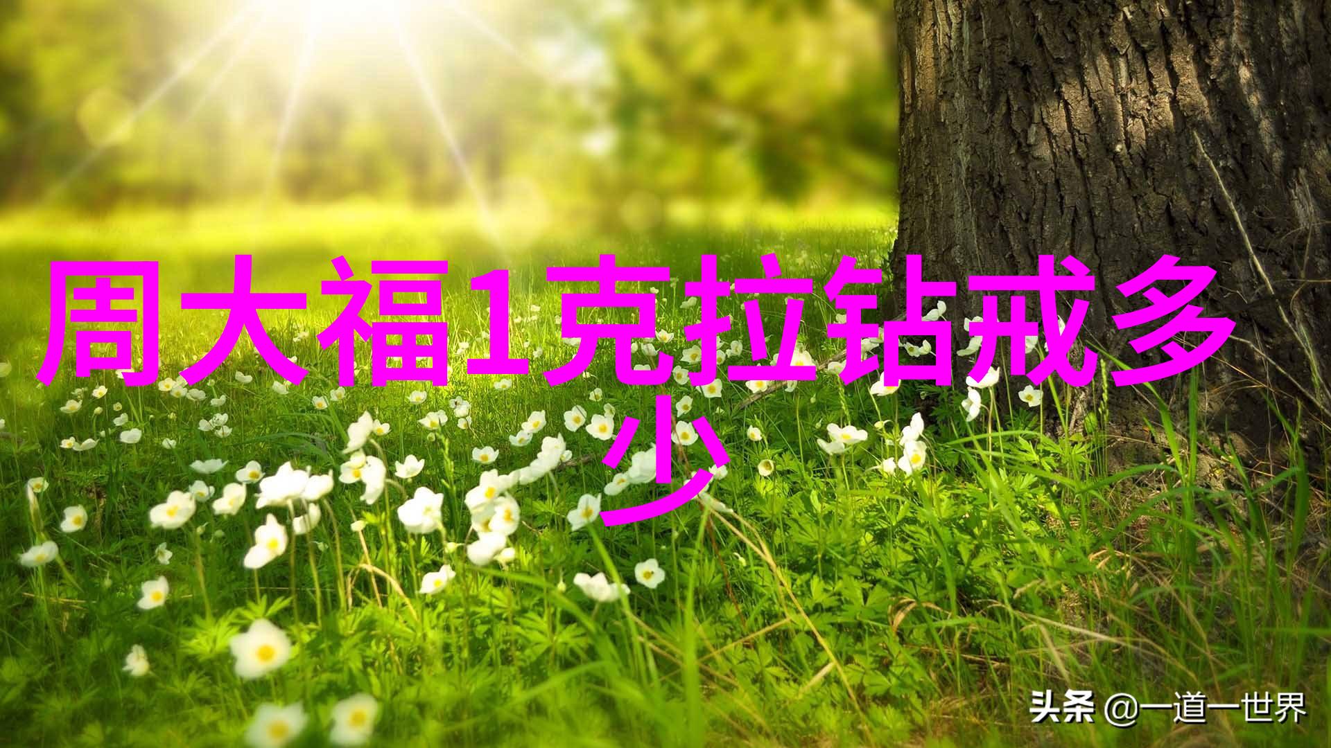 风景画中的守望者海柳的宁静守护