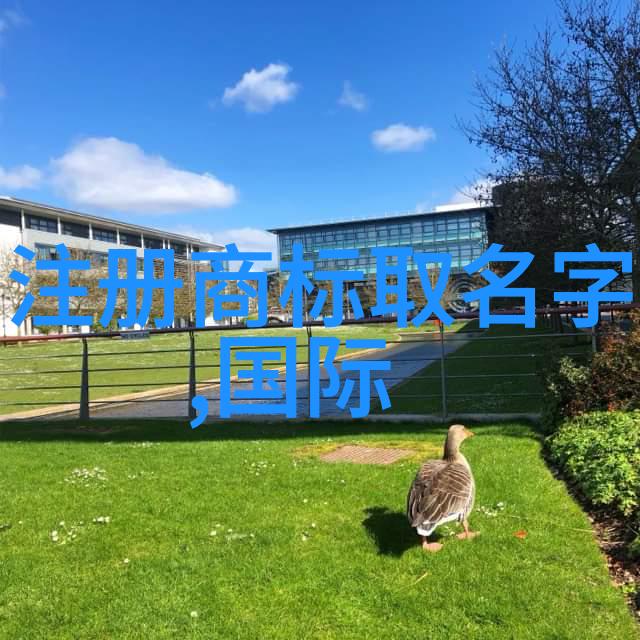 用兵天下战略与智慧的辉煌篇章