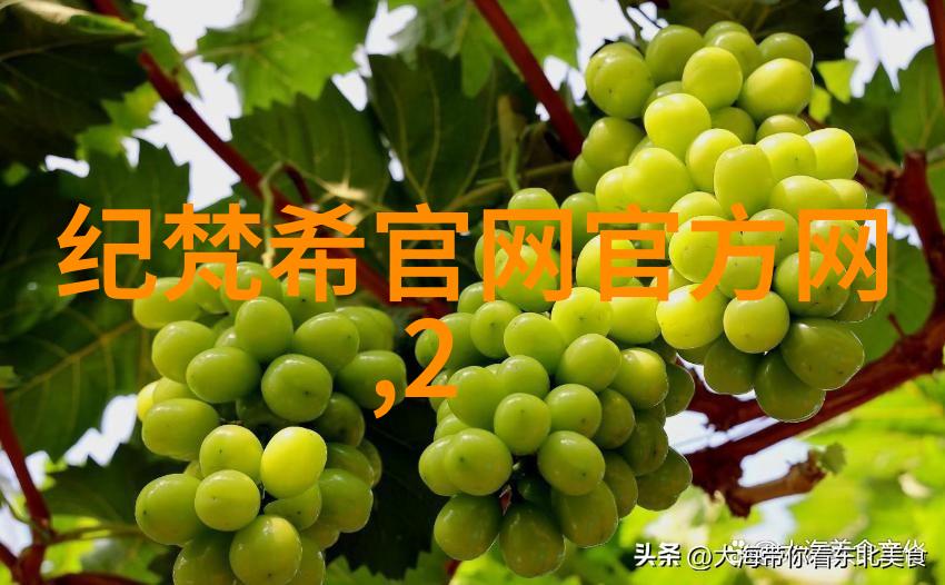 世界十大钻石戒指璀璨的爱情象征