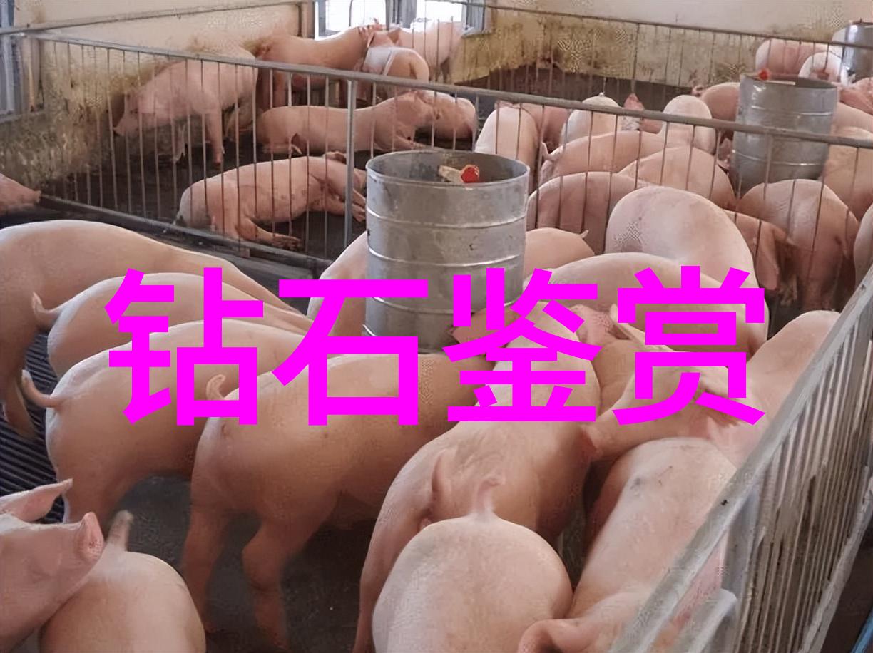 研究生阶段在国内学习珠宝设计最佳学校有哪些选项