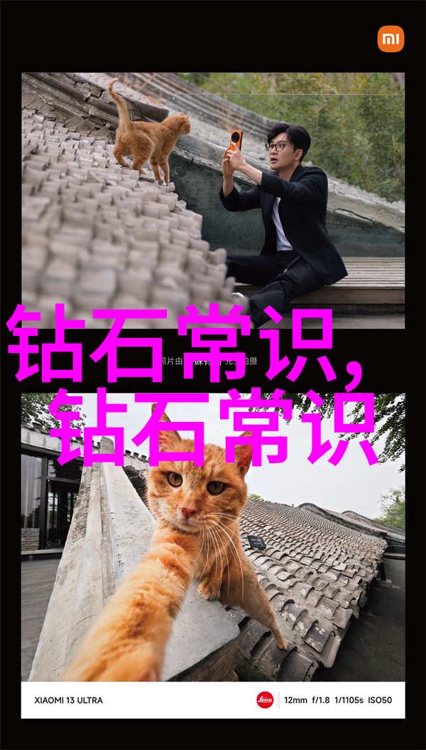 帝王绿历史的印记与时尚的挑战