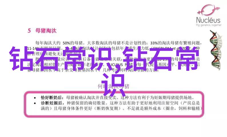 山东工艺美术学院我在这座充满创意与灵感的校园里探索艺术之旅