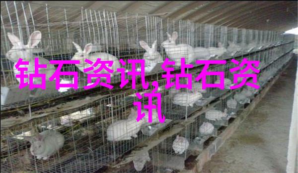 工匠之光珠宝检测中心证书的真伪探秘
