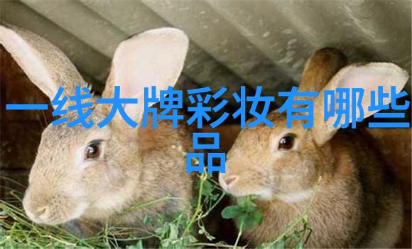 钻石选购技巧高质量钻石的购买与保养指南