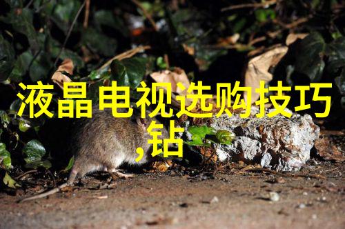 图形叙事探索封面设计的艺术与科技融合