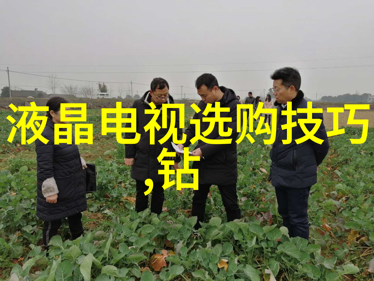 探索现代宠物医疗技术精准诊断与个性化治疗的新纪元