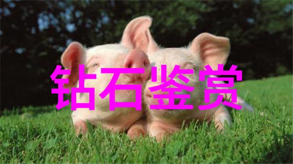 从数学到艺术学科分类的反差探索
