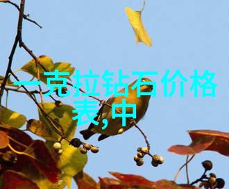 中国珠宝鉴证大师璀璨宝石的秘密守护者