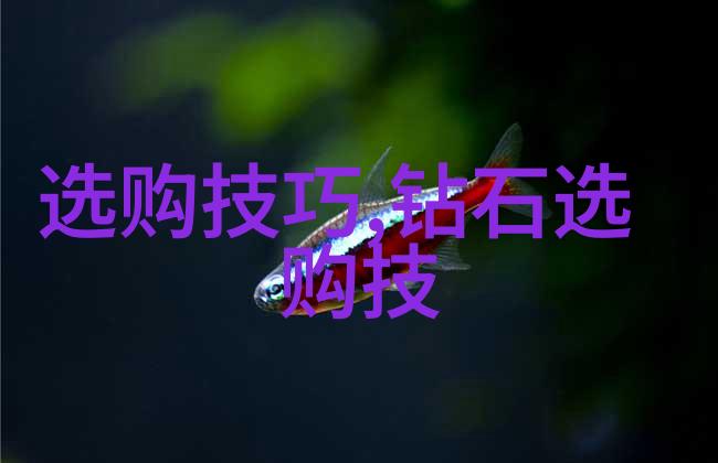 装饰元素个性化风格的点缀之作