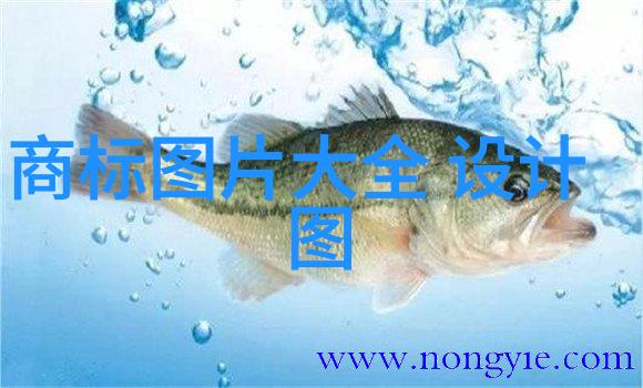 高清美妆教程下载小蝌蚪视频带来精彩生活技巧