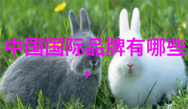 穿到女配作死前(穿书)我是怎样一步步被剧情绞杀的