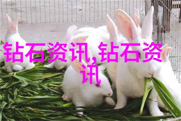 工艺过程的智慧探索从原材料到成品的技术艺术