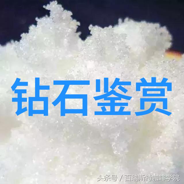 AI技术奇迹白鹿喷水的温柔瞬间