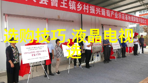 揭秘冰种翡翠鉴定艺术色泽光泽与内脏的智慧