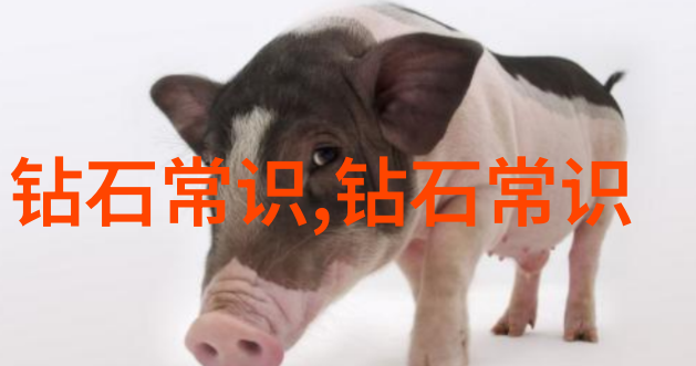 乌鸦喝水的故事-黑夜中的清泉之歌