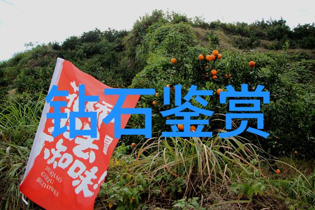 工艺的精髓创造与实践之间的对话
