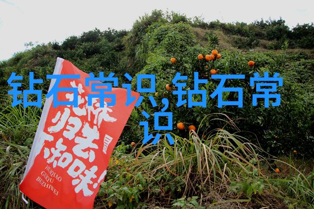 工作每天的挣扎我是怎么学会享受工作的