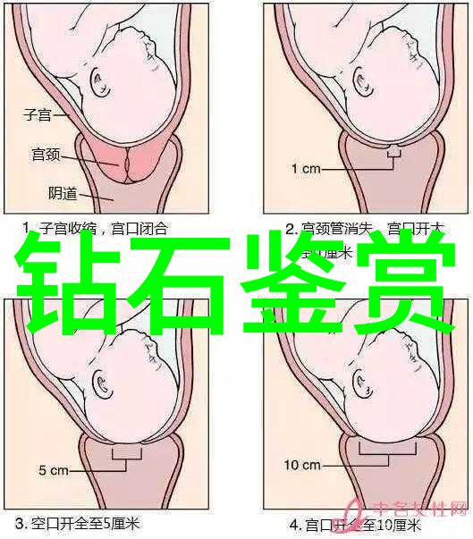 工艺美术专业学什么从技法到艺术探索创造的奥秘