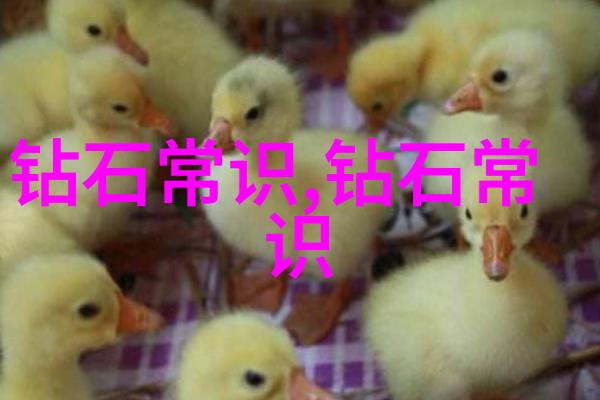 夜晚的守望者睡前小故事的魔力与温暖