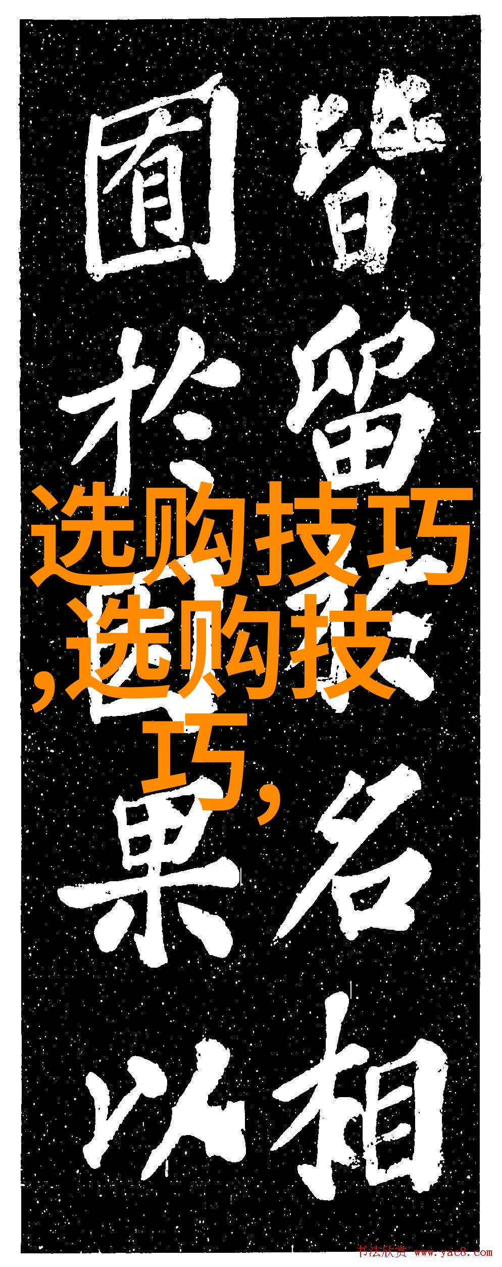 突发情况下的冷静应对高压环境下的导演工作