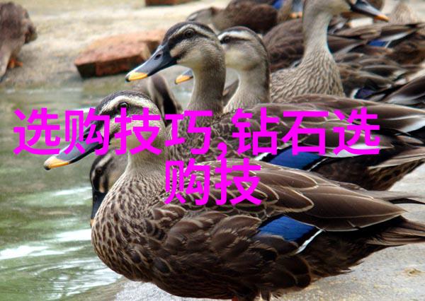 金属制品的精密制造机加工工艺全面解析