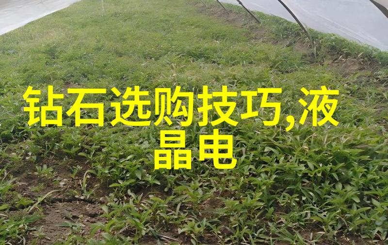 在哪些环节可以进行与设计师的沟通和调整