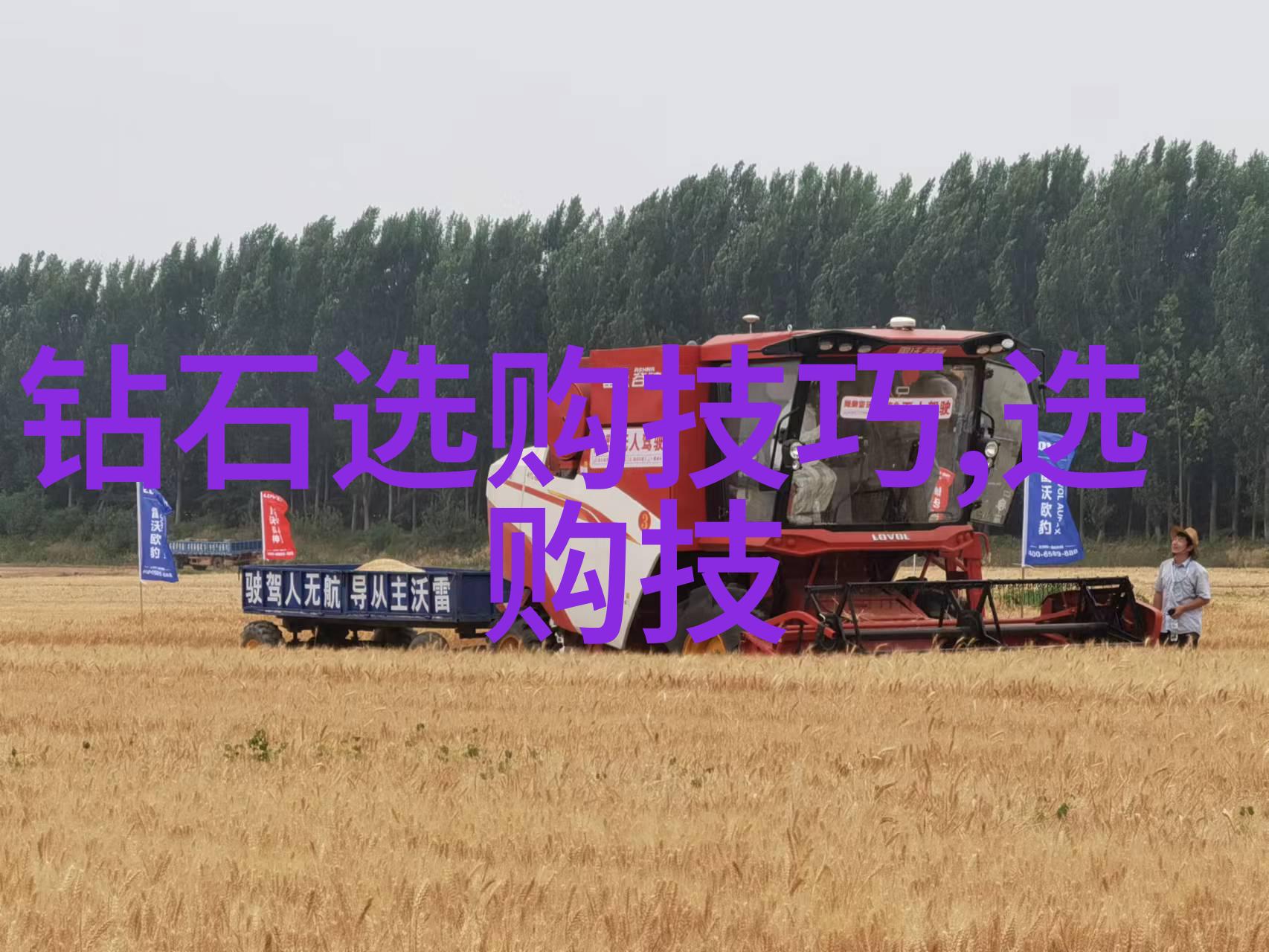 世界十大顶级宝石钻石红宝石蓝宝石黄玉翡翠祖母绿大理石中间岩黑珍珠