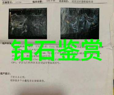 探秘古代宝库里的秘密真假玉背后的考证故事