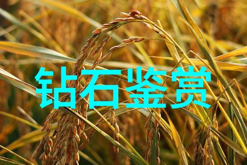 宝宝好久没C你视频免费的-重逢之际宝宝回归免费视频直播