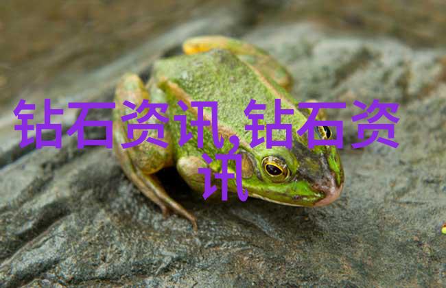 对象是家里安排的小说全文免费阅读我怎么就被卷进了这本看似平淡却充满玄机的书呢