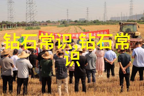 北京钻石鉴定-京城宝石之谜寻找最权威的钻石鉴定机构