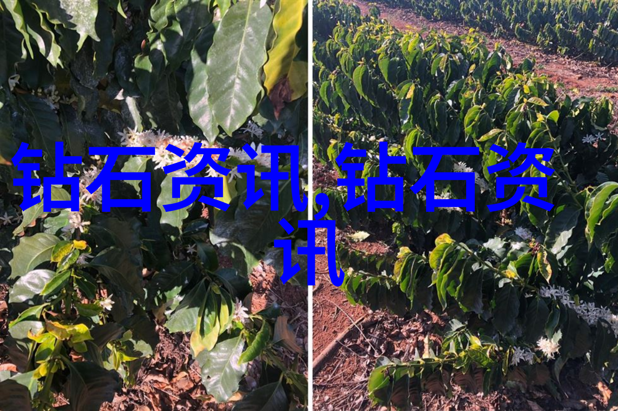 收藏翡翠-翡翠宝石的迷人魅力从选购到展示的艺术品趣味文章